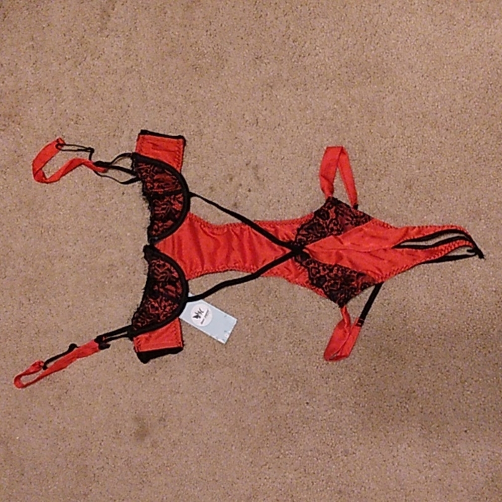 Red satin and lace teddy